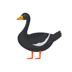 A simple flat 2D icon of a goose isolated on the background, vector design, ideal for animation, UI/UX design, mobile apps, web design, digital illustrations, flat 2D, animal set