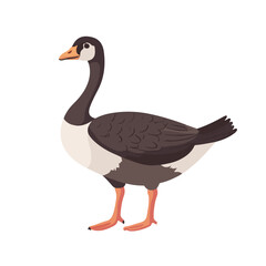 A simple flat 2D icon of a goose isolated on the background, vector design, ideal for animation, UI/UX design, mobile apps, web design, digital illustrations, flat 2D, animal set