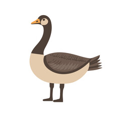 A simple flat 2D icon of a goose isolated on the background, vector design, ideal for animation, UI/UX design, mobile apps, web design, digital illustrations, flat 2D, animal set