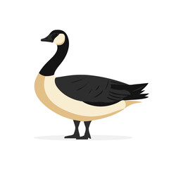 A simple flat 2D icon of a black and white goose isolated on the background, vector design, ideal for animation, UI/UX design, mobile apps, web design, digital illustrations, flat 2D, animal set