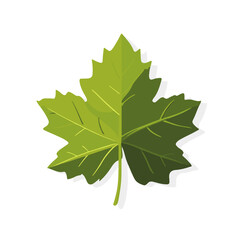 A 2D simple green grapevine leaf motion graphic flat-design vector animation style, in white background, flat design, animation design, vector, flat design, logo.
