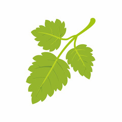 Fototapeta premium A 2D simple grapevine leaf , motion graphic flat-design vector animation style, in white background, flat design, animation design, vector, flat design, logo.