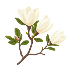 Simple flat 2D icon white magnolia isolated on transparent background, vector, flat design, animation design, vector, flat design, animation design, simple flat 2D icon, minimalist design, clipart