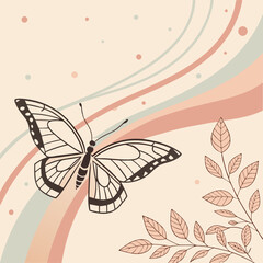 butterfly on a pink background