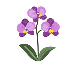 A Simple icon flat 2D icon purple orchid flowers isolated on a white background, vector, animation design, simple flat 2D icon, minimalist design and modern illustration