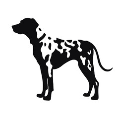 Fototapeta premium Dalmatian dog - Vector black silhouette isolated