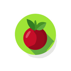Simple flat 2D icon red pomegranate isolated on white background, vector, flat design, animation design, animation design, simple flat 2D icon, clipart