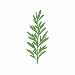 Naklejka premium Simple flat 2D icon rosemary leaf branch isolated on white background, vector, flat design, animation design, animation design, simple flat 2D icon, clipart