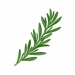 A Simple icon flat 2D icon rosemary leaf branch isolated on a transparent background, vector, animation design, simple flat 2D icon, minimalist design and modern illustration
