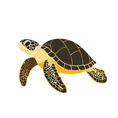 Simple flat 2D icon green sea turtle isolated on transparent background, vector, flat design, animation design, vector, flat design, animation design