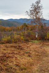 美しく紅葉する高原　長野県