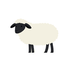 Simple flat 2D illustration of white sheep clipart isolated on a white background, vector 2D design, icon, flat 2d illustration art, flat icon