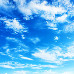 Obraz premium Blue Sky, White Cloudscape