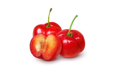 アセロラ イラスト リアル