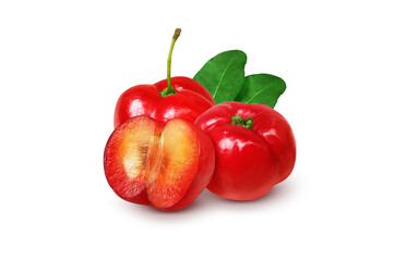 アセロラ イラスト リアル