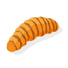 Simple flat 2D illustration of turmeric root clipart  isolated on a white background, vector 2D design, icon, flat 2d illustration art, flat icon