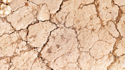 The ground has cracks in the top view for the background
