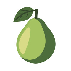 A Simple icon flat 2D icon avocado isolated on a transparent background, vector, animation design, simple flat 2D icon, minimalist design and modern illustration