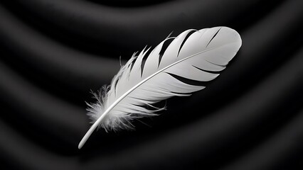 White feather on black background