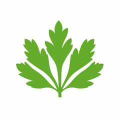 A Simple icon flat 2D icon green celery leaves isolated on a transparent background, vector, animation design, simple flat 2D icon, minimalist design and modern illustration