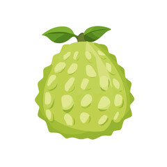 A Simple icon flat 2D icon green cherimoya isolated on a transparent background, vector, animation design, simple flat 2D icon, minimalist design and modern illustration