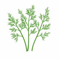 Naklejka premium A Simple icon flat 2D icon dill isolated on a transparent background, vector, animation design, simple flat 2D icon, minimalist design and modern illustration