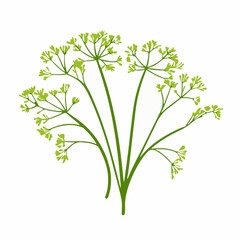 A Simple icon flat 2D icon dill isolated on a transparent background, vector, animation design, simple flat 2D icon, minimalist design and modern illustration