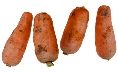 Four soiled carrots arranged on a black background
