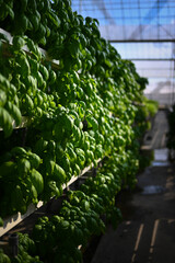 Hydroponic vertical farming systems