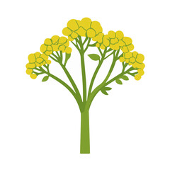 A Simple icon flat 2D icon mustard isolated on a transparent background, vector, flat design, animation design, simple flat 2D icon, minimalist design