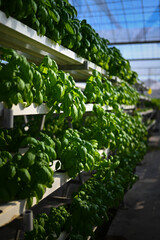 Hydroponic vertical farming systems