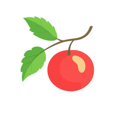 Simple flat 2D icon red currant branch isolated on a transparent background, vector, flat design, animation design, vector, flat design, animation design, simple flat 2D icon, minimalist design