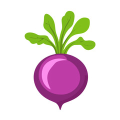 Simple flat 2D icon purple turnip isolated on a transparent background, vector, flat design, animation design, vector, flat design, animation design, simple flat 2D icon, minimalist design