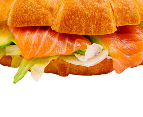 Fresh salmon sandwich on a croissant served with lettuce