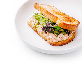 Delicious tuna sandwich with fresh vegetables and toasted bread
