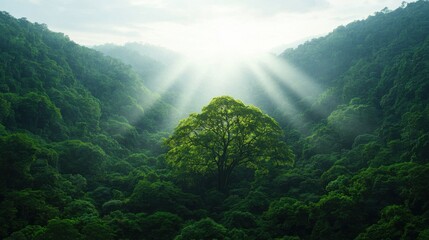 Obraz premium A sunlit valley features a prominent tree surrounded by lush greenery, with rays of light piercing through the clouds, creating a tranquil atmosphere.