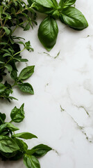 Fresh Basil and Herbs on White Marble for Cooking