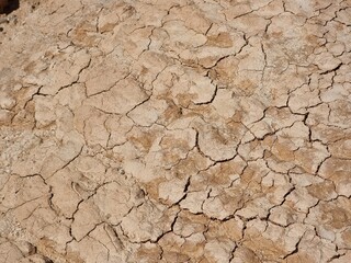 Dry brown cracked earth. Texture, background.

