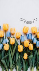 Top view of yellow and blue tulips with leaves on white background, banner