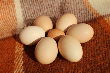 chicken eggs in a basket