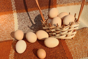 eggs in a basket