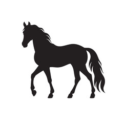 Obraz premium horse silhouette vector