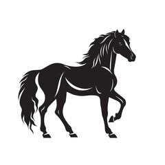 silhouette of a horse