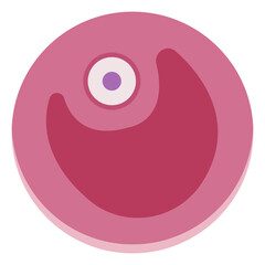 Follicle mature colored icon