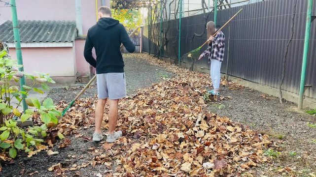 Young guy and Girl are raking leaves at the