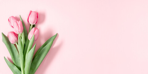 Beautiful floral background border of pink tulips on a soft pink background, Easter, Mother's Day, March 8, Banner. © prime1001