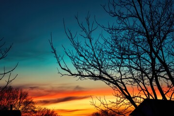 A tree with a blue sky in the background. The sky is orange and pink. The tree is bare and the sky is clear