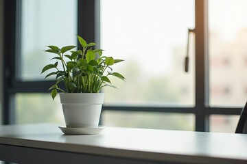 Fototapeta premium A potted plant on a modern desk, symbolizing simplicity and focus in a clean workspace.