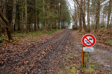 Chemin en forêt domaniale en hiver. Pins sylvestre. Exploitation forestière. Rondins de bois empilés. Panneau interdiction de circuler