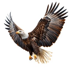 Obraz premium A majestic bald eagle soaring gracefully through the clear blue sky in flight